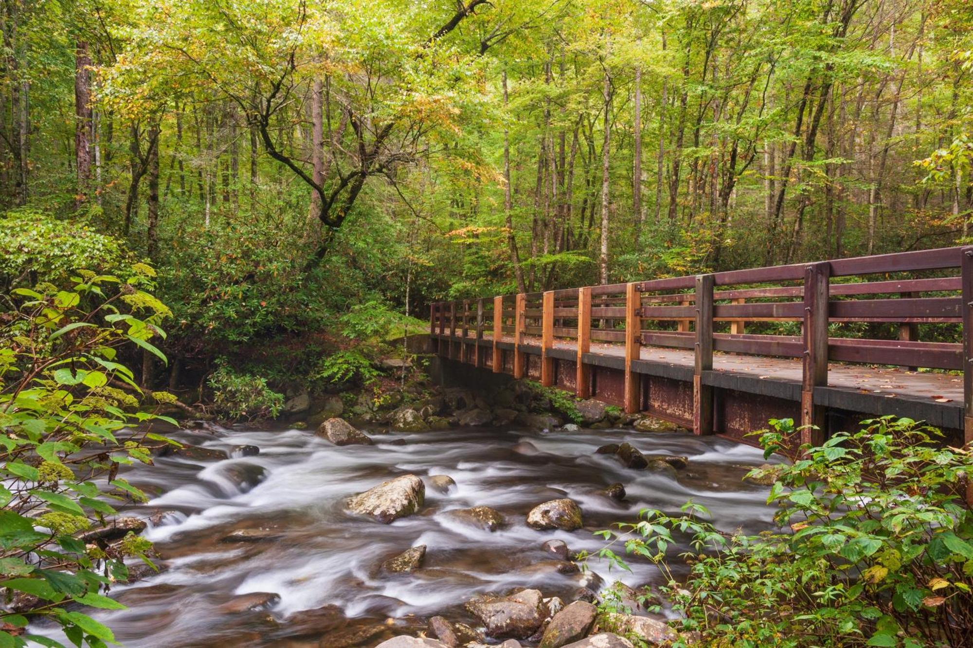The Mason Jar, Hot Tub, Wifi, 1089 Free Tickets Each Paid Day, Dollywood And More! Піджен-Фордж Екстер'єр фото
